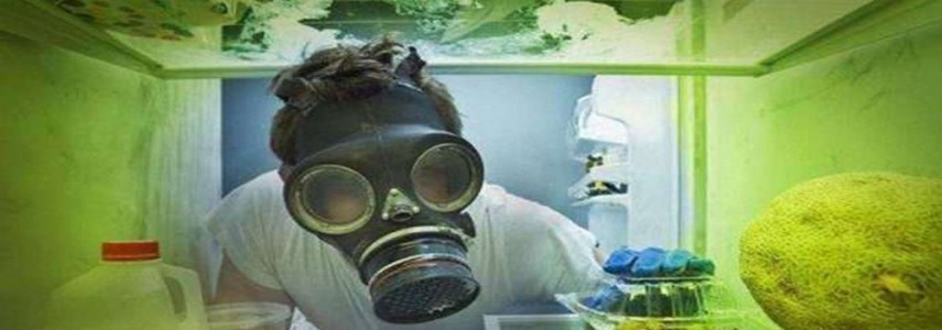 از بین بردن بوی بد یخچال